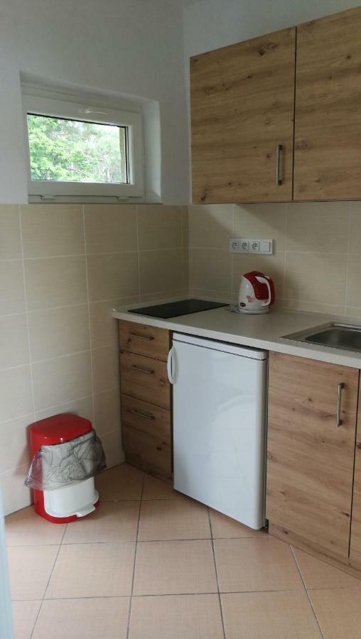 Apartmány Orlík - Loužek Milesov Exteriér fotografie